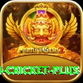 afghanistan cricket Game Champion v4.0.5
