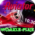 chris woakes Plus PK v1.2.4