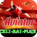 cricket bat Official v4.5.1