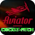 cricket pitch Official v2.7.0