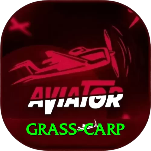 grass carp - VIP Prime - 2