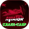 grass carp - VIP Prime
