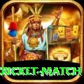 india pakistan cricket match APK Max v1.8.8