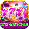 india upcoming cricket matches Earn Turbo v2.6.7