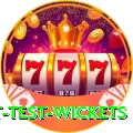 most test wickets Game Deluxe v3.6.4