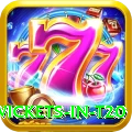 most wickets in t20 Gaming Mega v1.1.9