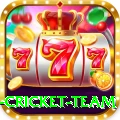 netherlands cricket team - Turbo Edition v3.7.9