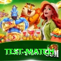 test match Master APK v1.0.3