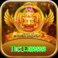 tiger888 - Gaming Prime