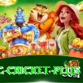 uc cricket Casino Official v3.1.5