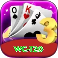 wc t20 - Pro v2.0.2