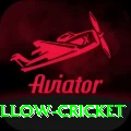 willow cricket Casino Official v2.4.1